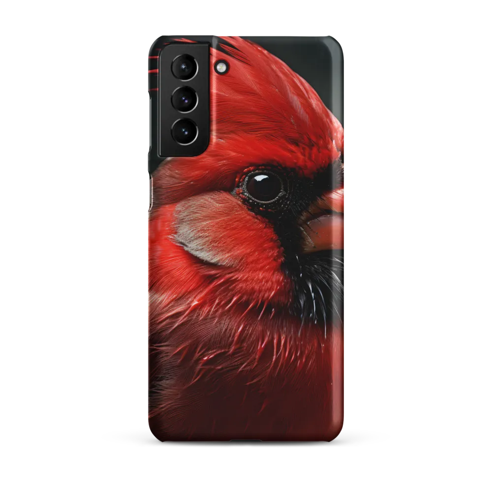 The Bold Cardinal