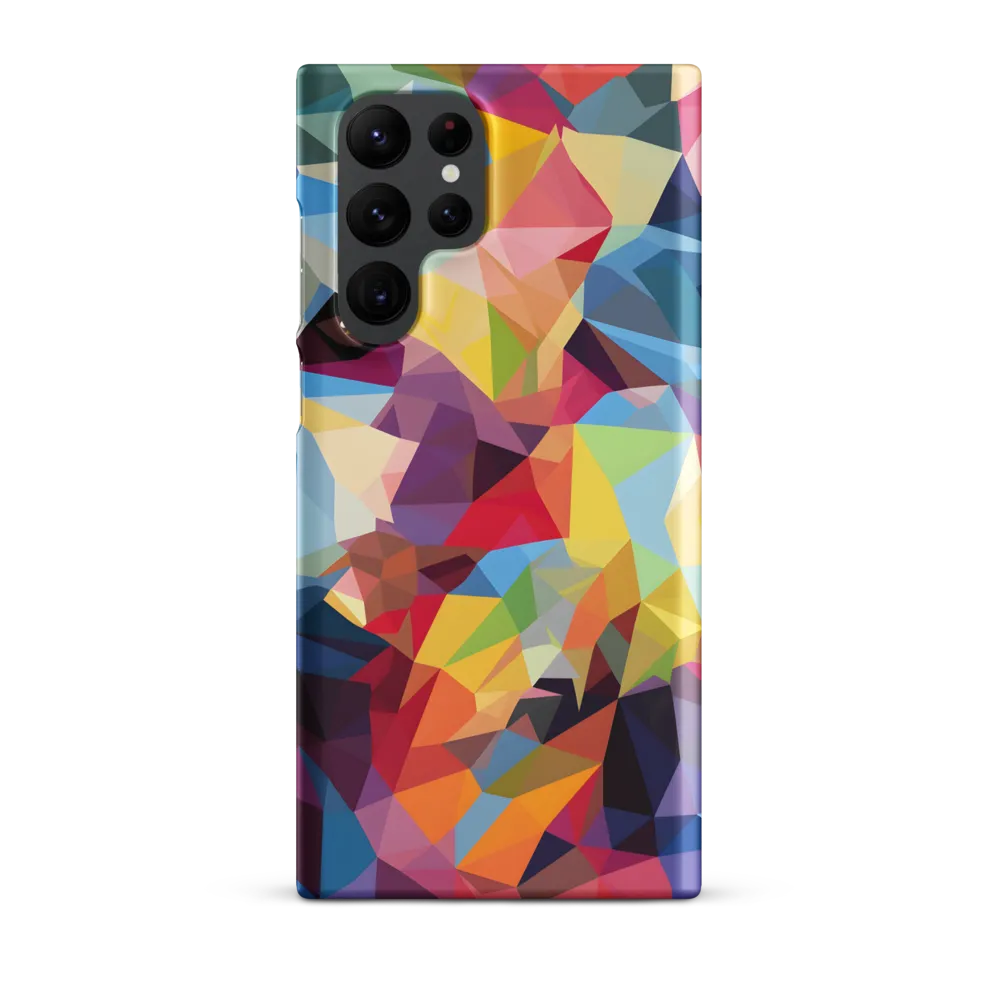 Playful Geometry: The Bear's Face