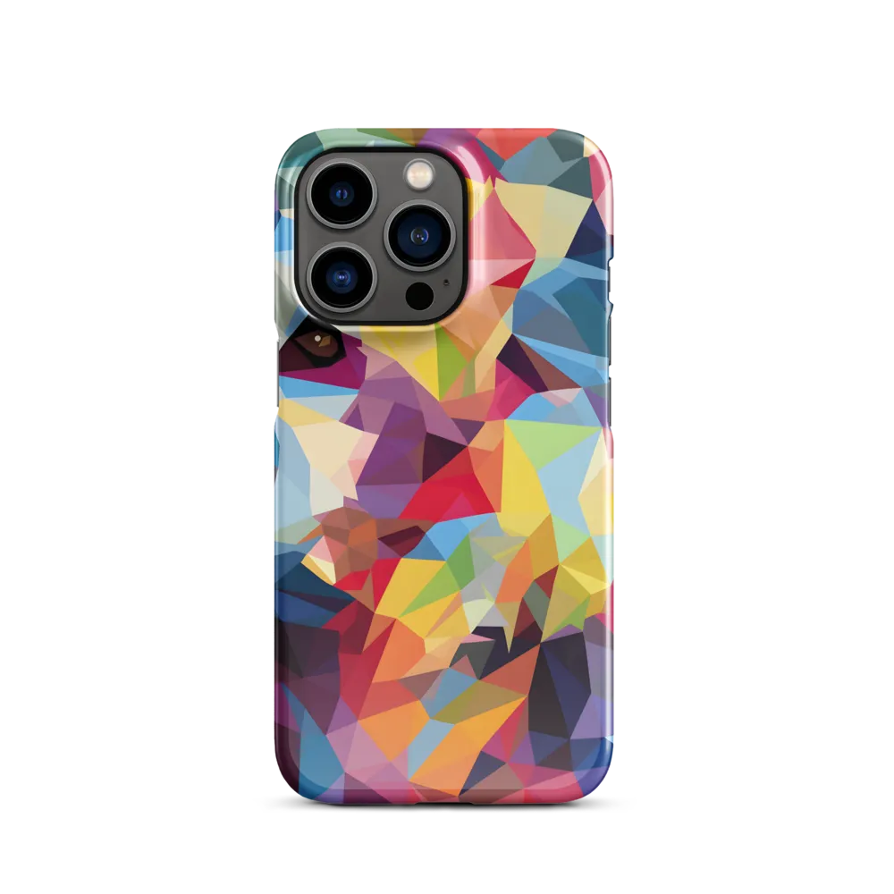 Playful Geometry: The Bear's Face