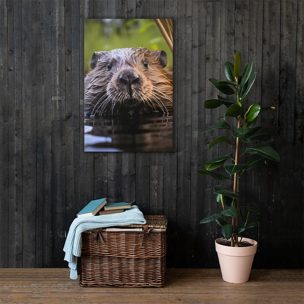 Emergence of the Beaver | Canvas | 24″×36″