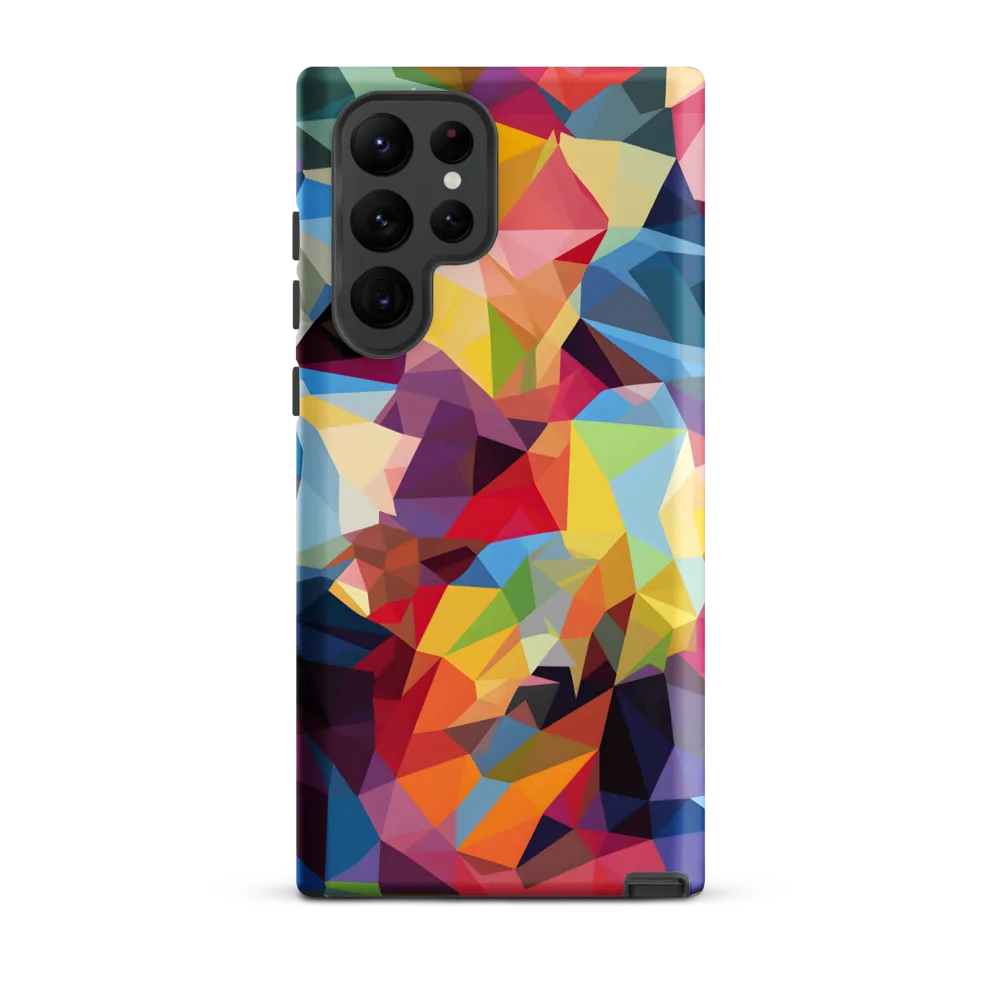 Playful Geometry: The Bear's Face