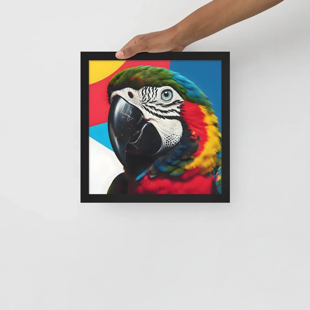 Scarlet Macaw Close-Up 
 Poster with Black Frame | 12″x 12″
