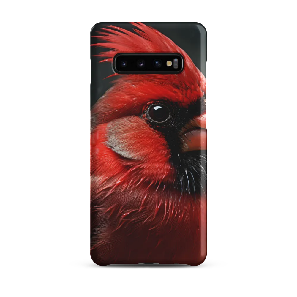 The Bold Cardinal
