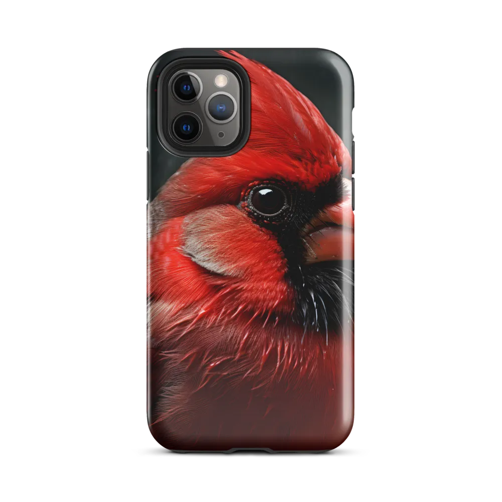The Bold Cardinal