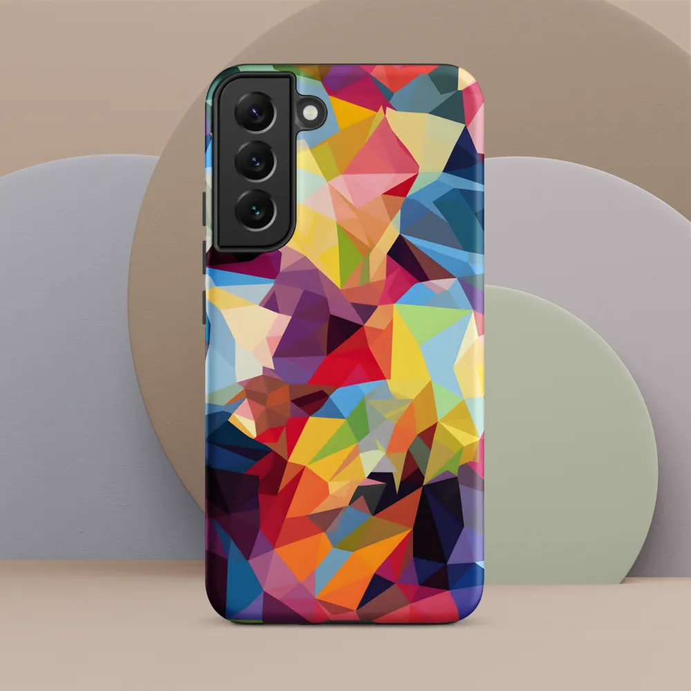 Playful Geometry: The Bear's Face
