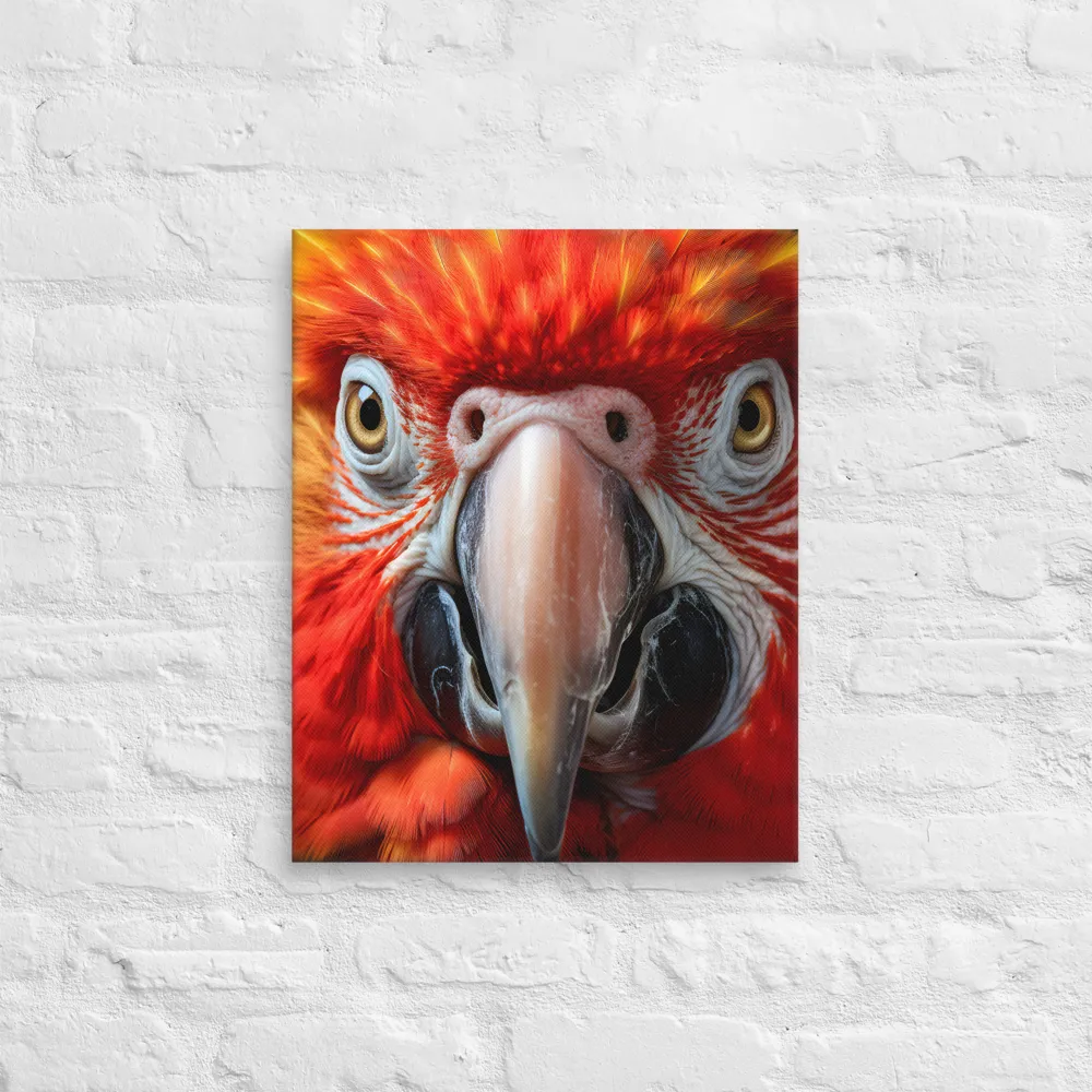 The Fiery Gaze of the Parrot