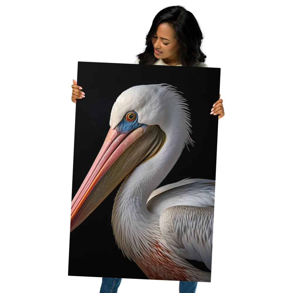 Elegance in White: The Pelican | Metal Print | 24″×36″