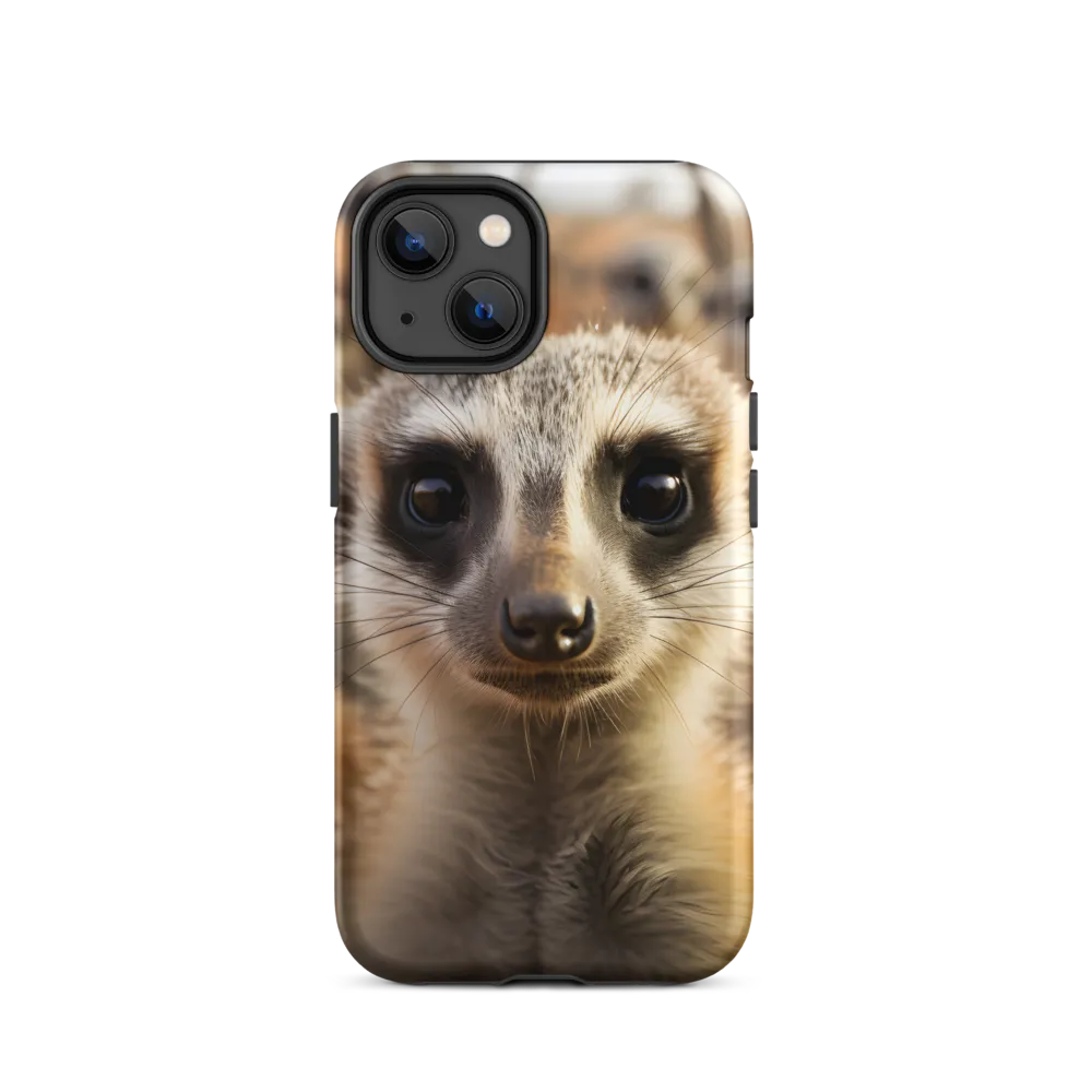 Curious Meerkats in Community