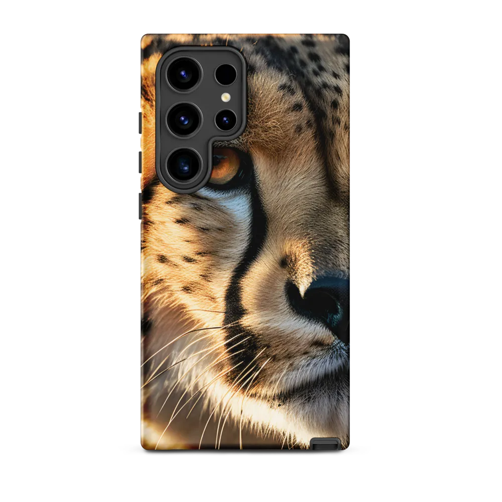 The Intense Gaze of the Cheetah