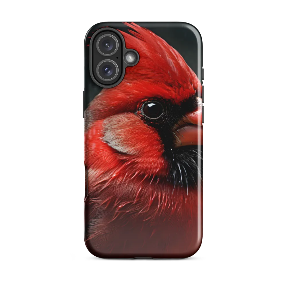 The Bold Cardinal