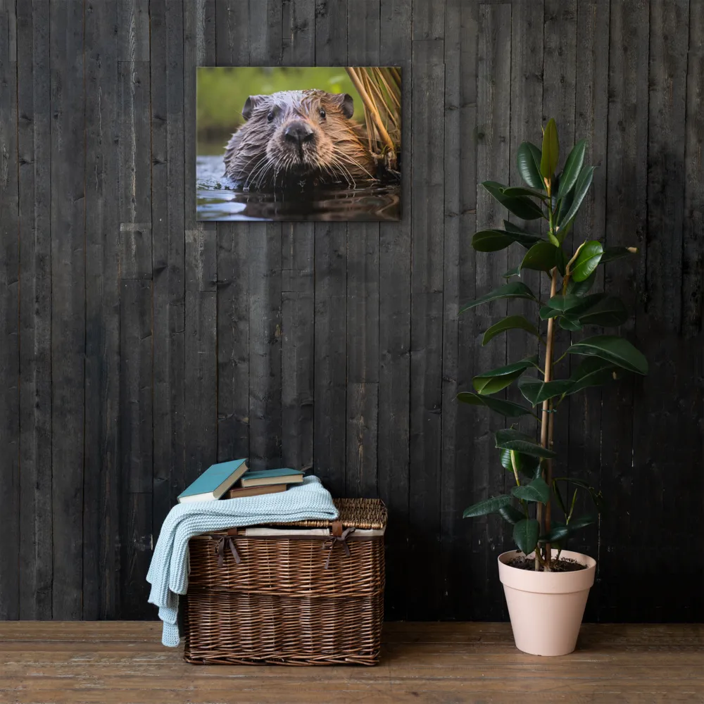 Emergence of the Beaver