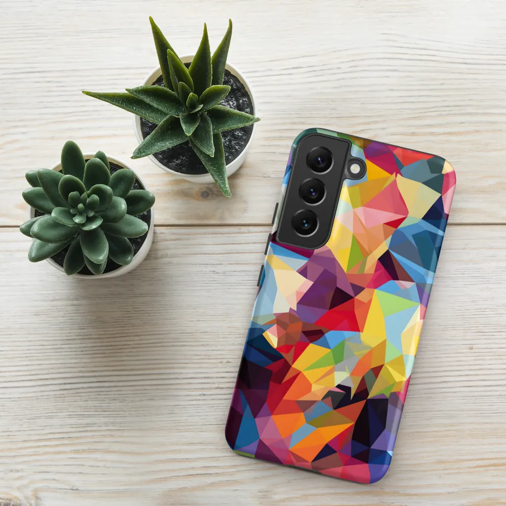 Playful Geometry: The Bear's Face