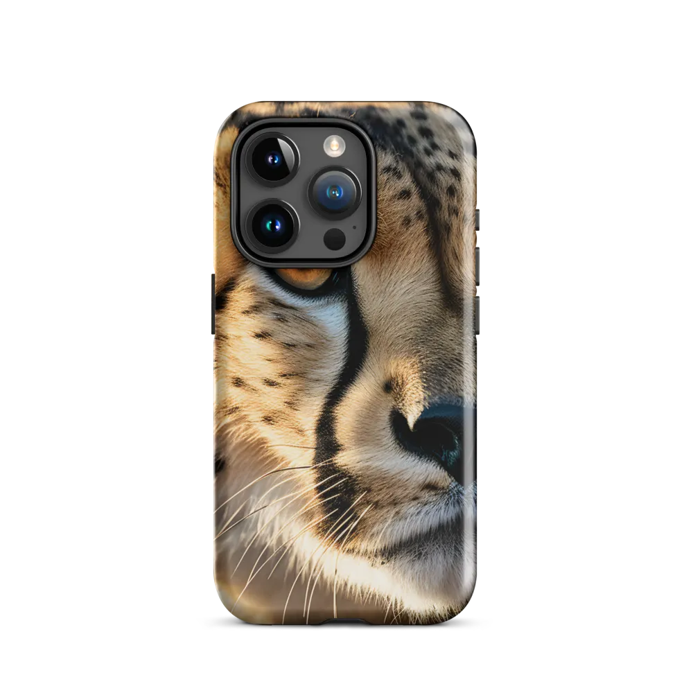 The Intense Gaze of the Cheetah