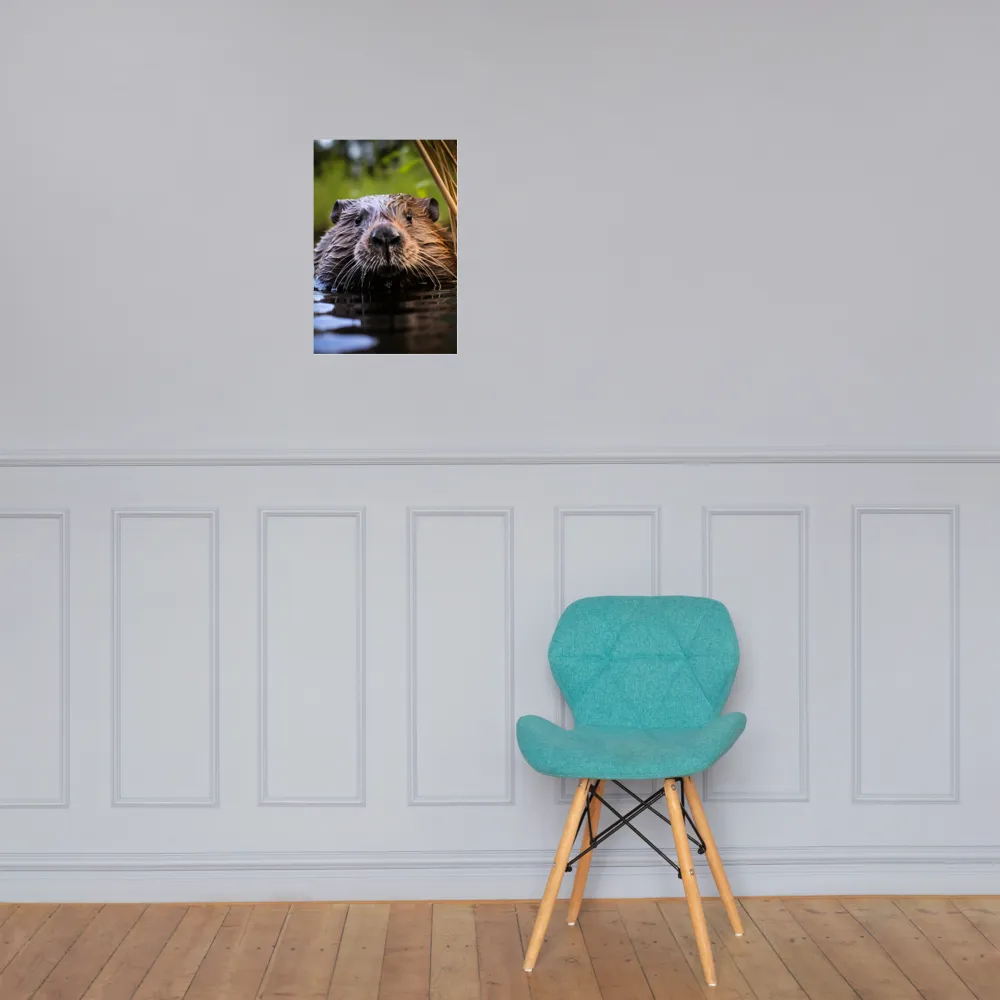 Emergence of the Beaver | Poster | 12″×18″