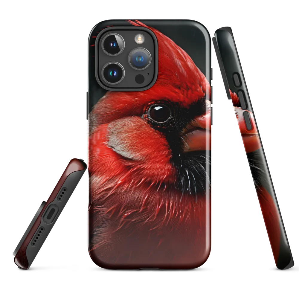 The Bold Cardinal