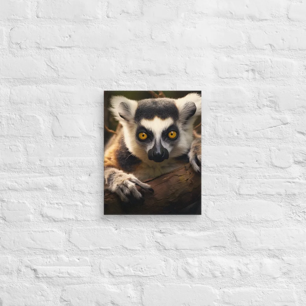 The Watchful Lemur