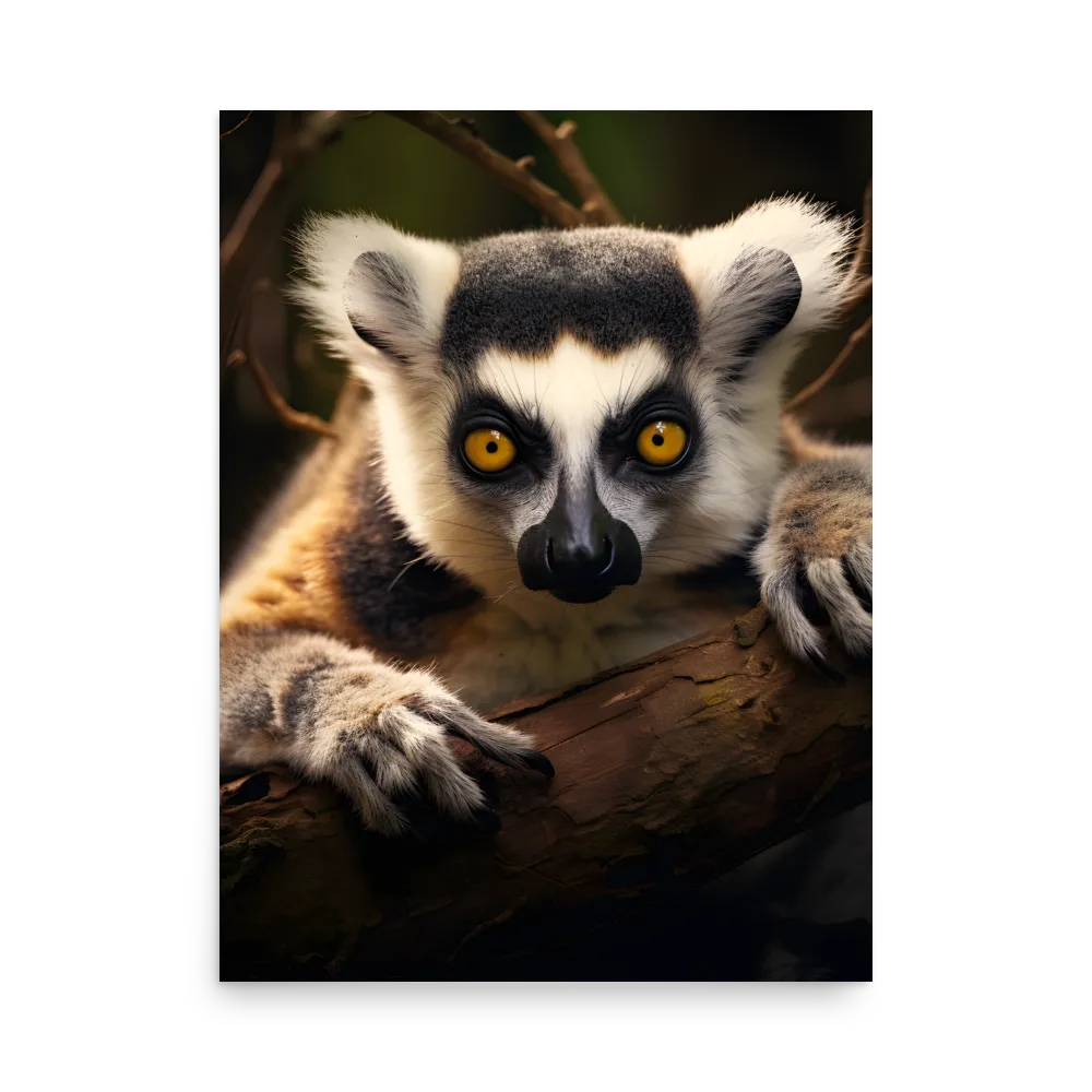 The Watchful Lemur