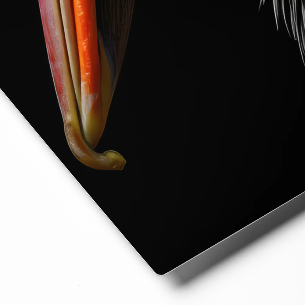 Majestic Portrait of a Pelican | Metal Print | 11″×14″