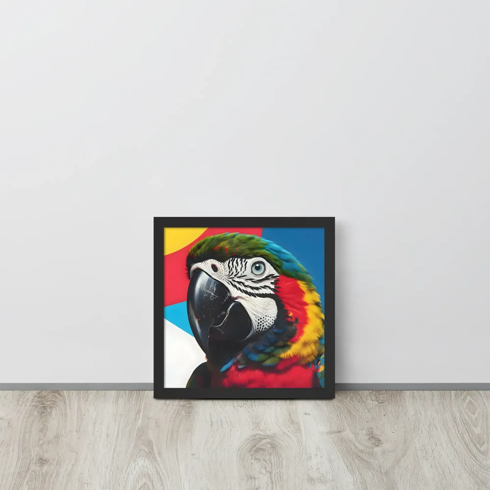 Scarlet Macaw Close-Up 
 Poster with Black Frame | 12″x 12″