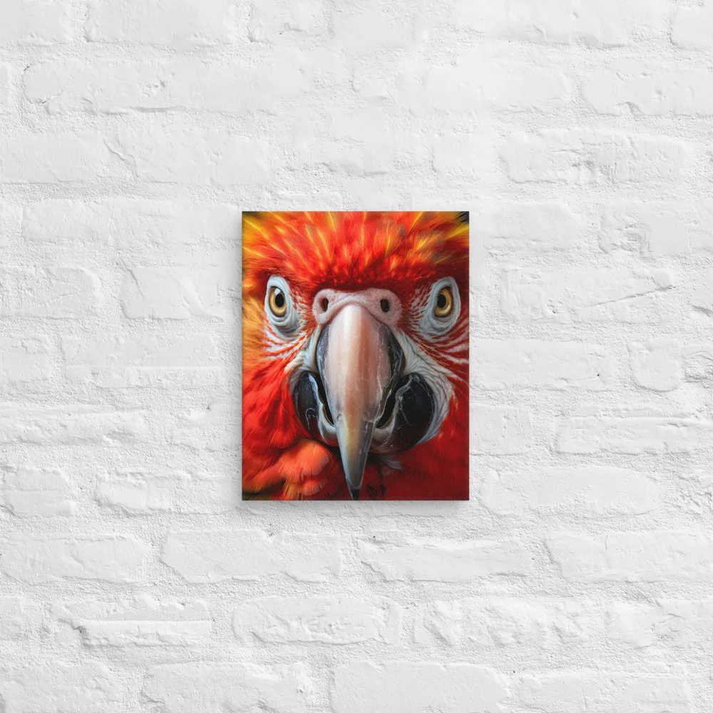 The Fiery Gaze of the Parrot
