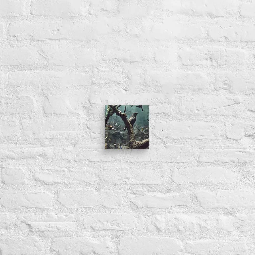 Whispers of the Avian Realm | Canvas | 6″×6″