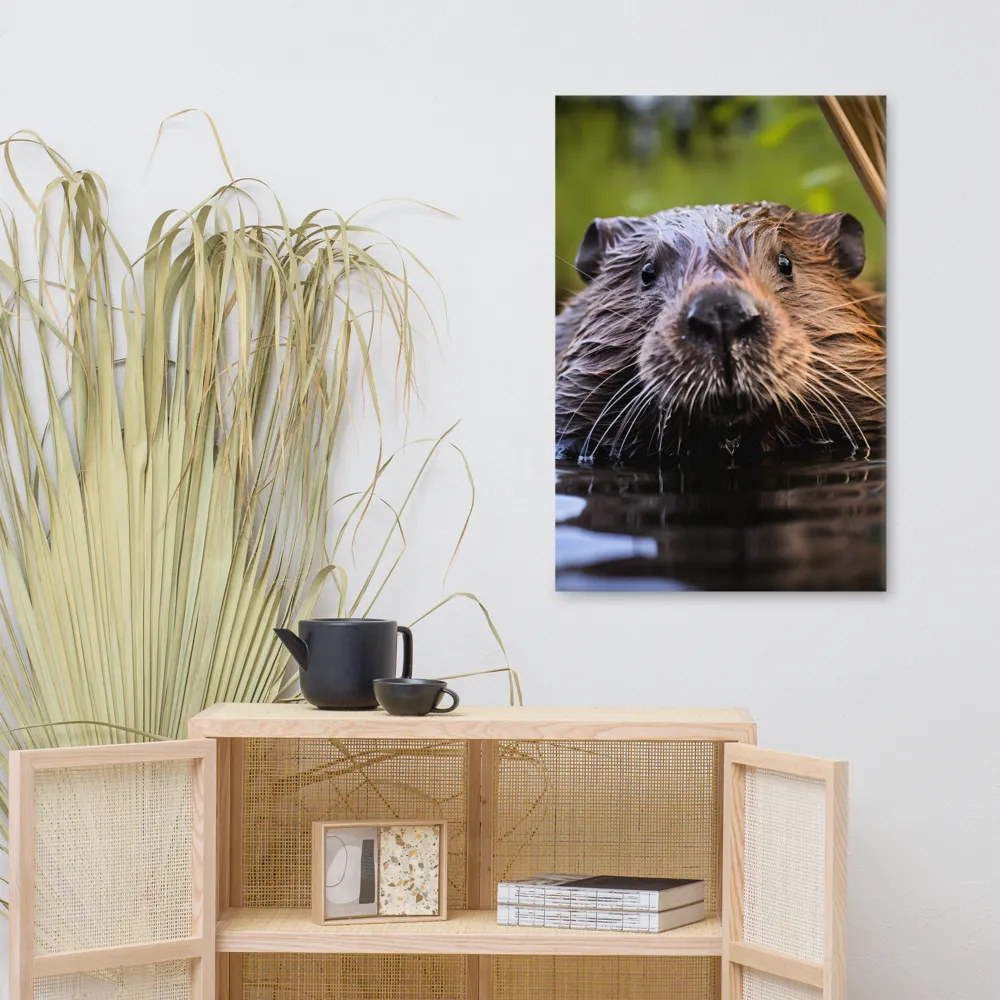 Emergence of the Beaver