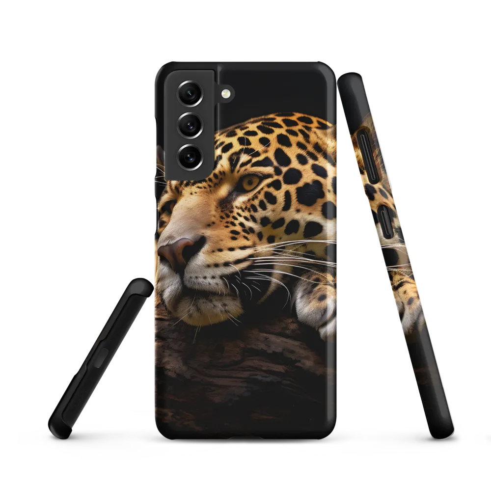 Tranquil Majesty: The Resting Leopard