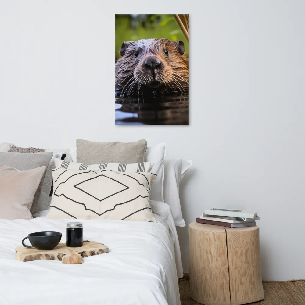 Emergence of the Beaver