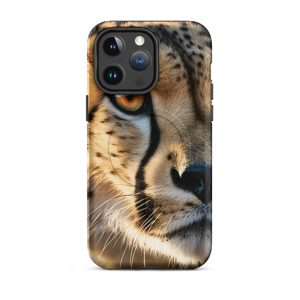 The Intense Gaze of the Cheetah