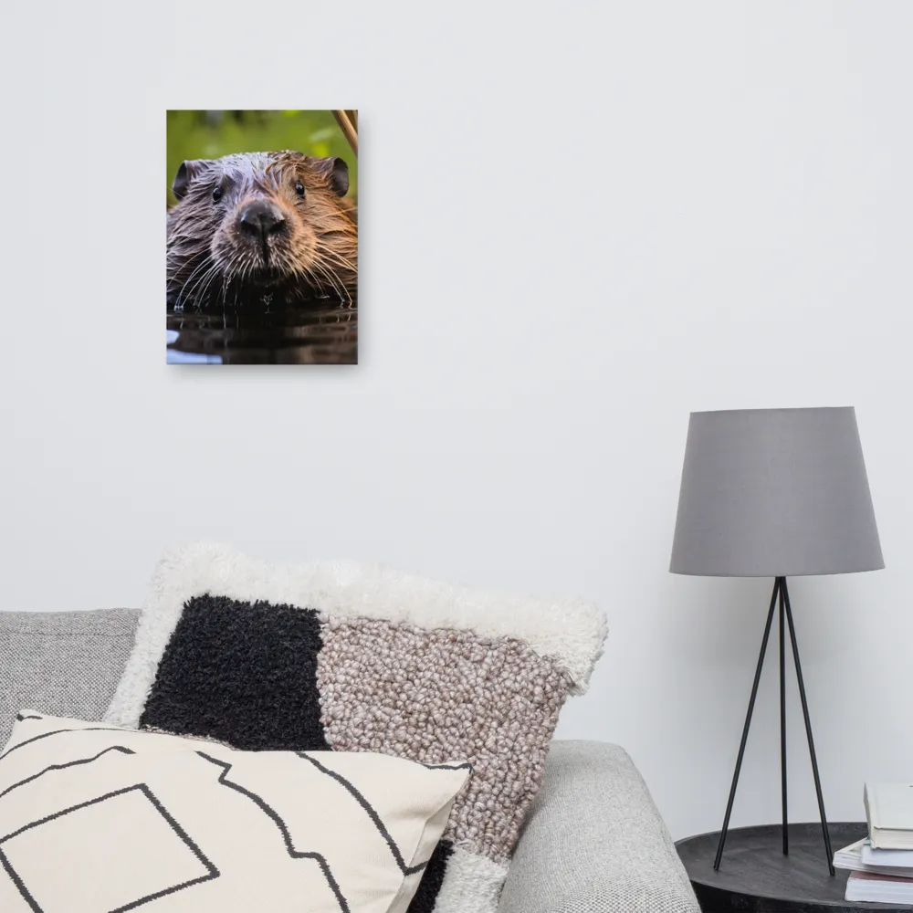 Emergence of the Beaver