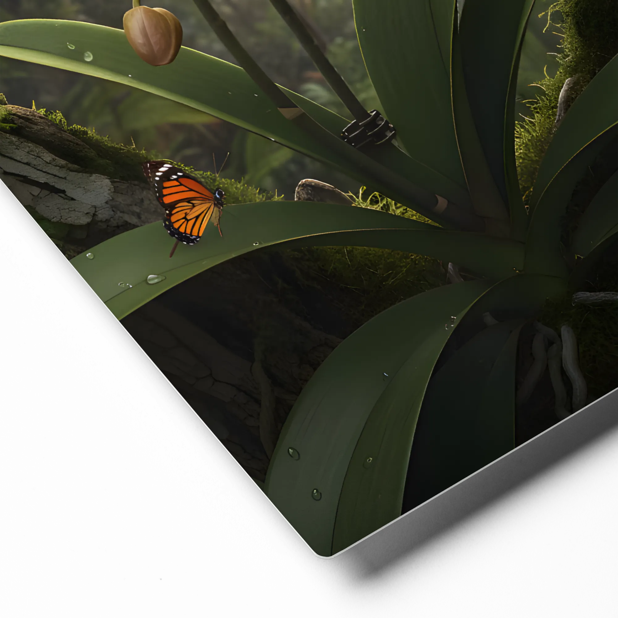 Orchid and Hummingbirds 
 Metal Print | 16″x 20″