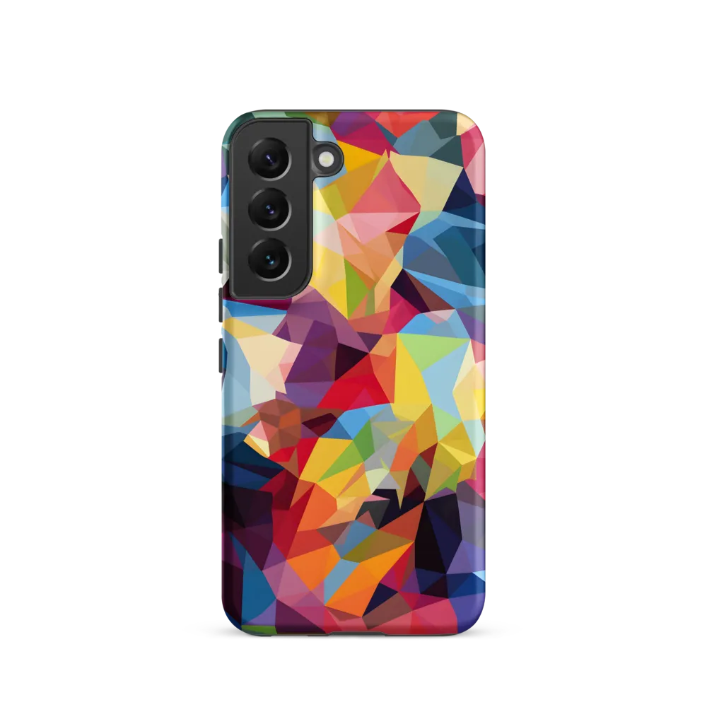 Playful Geometry: The Bear's Face