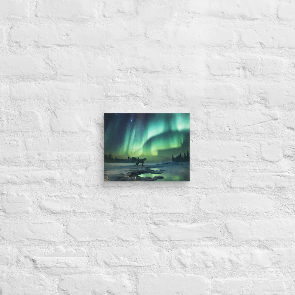 Auroral Guardianship