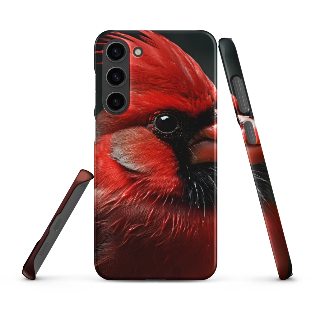 The Bold Cardinal