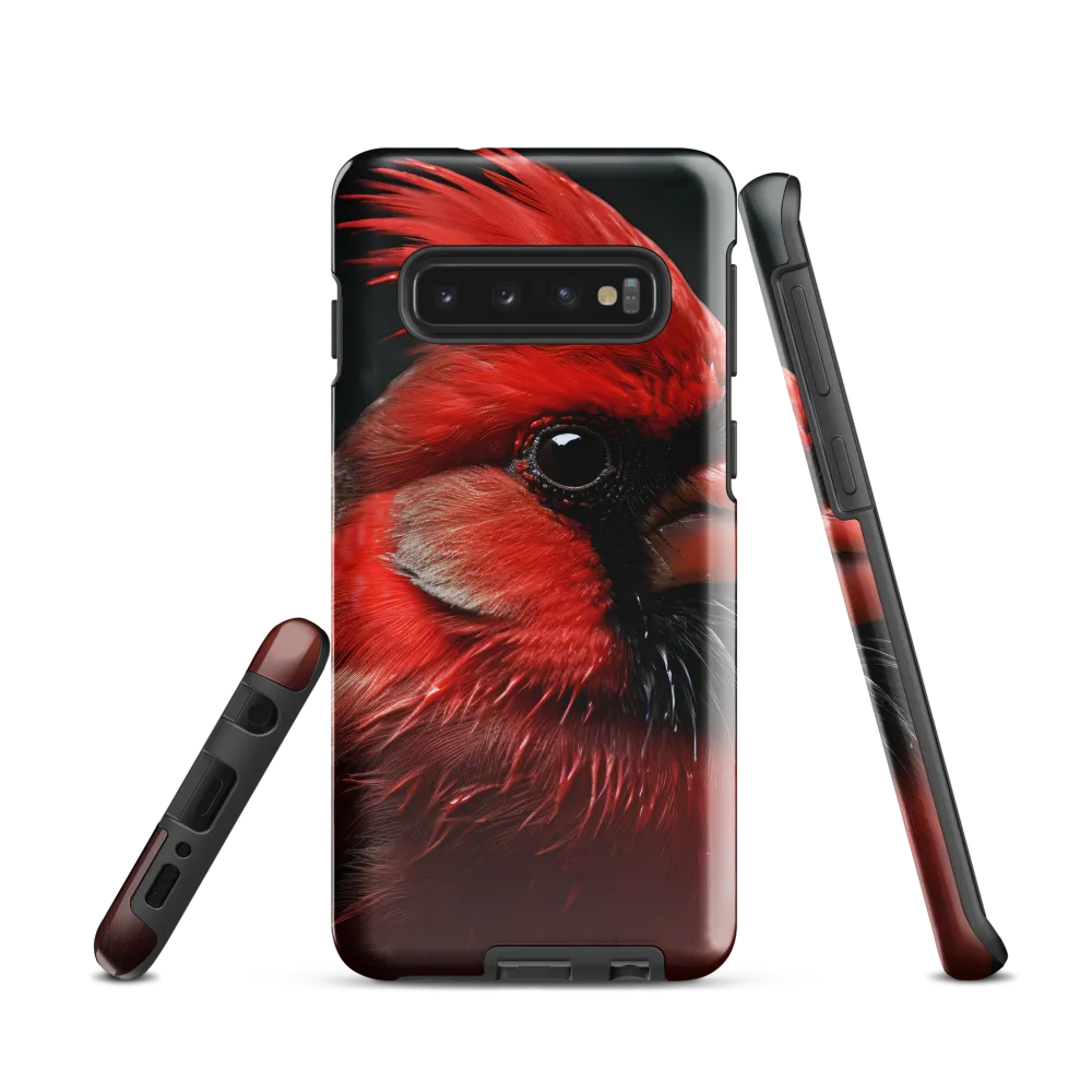 The Bold Cardinal