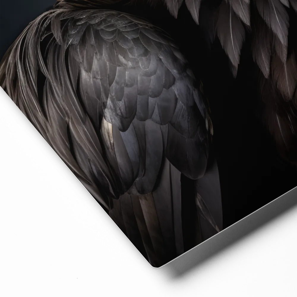 Majestic Vulture Portrait | Metal Print | 16″×20″