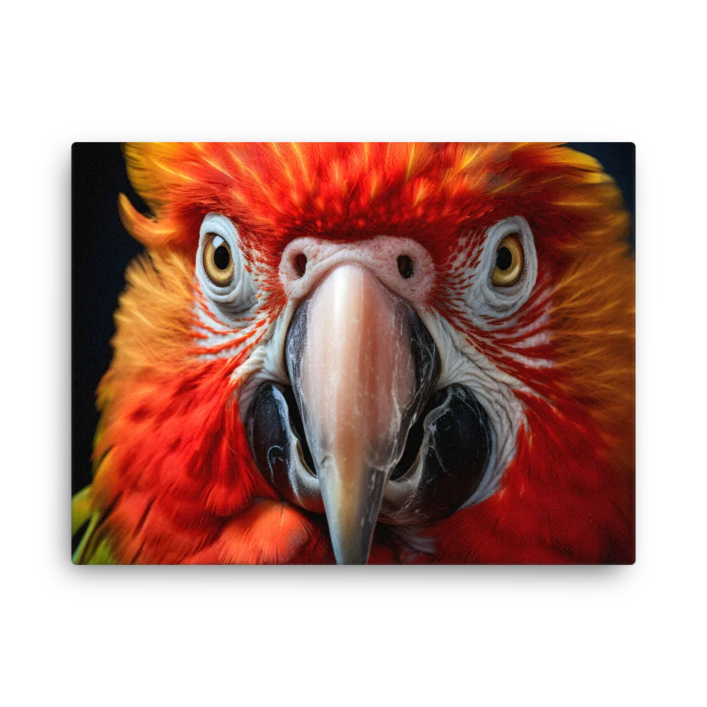 The Fiery Gaze of the Parrot | Thin Canvas | 18″×24″
