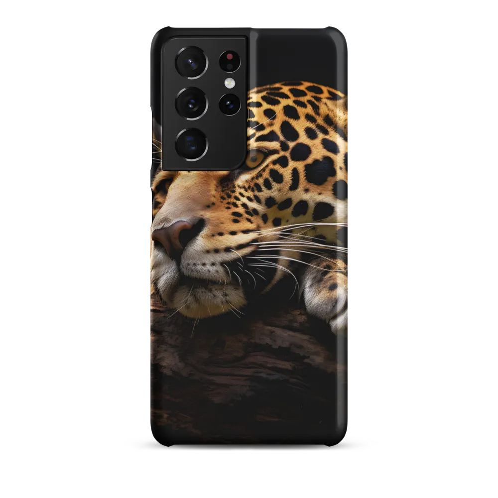 Tranquil Majesty: The Resting Leopard