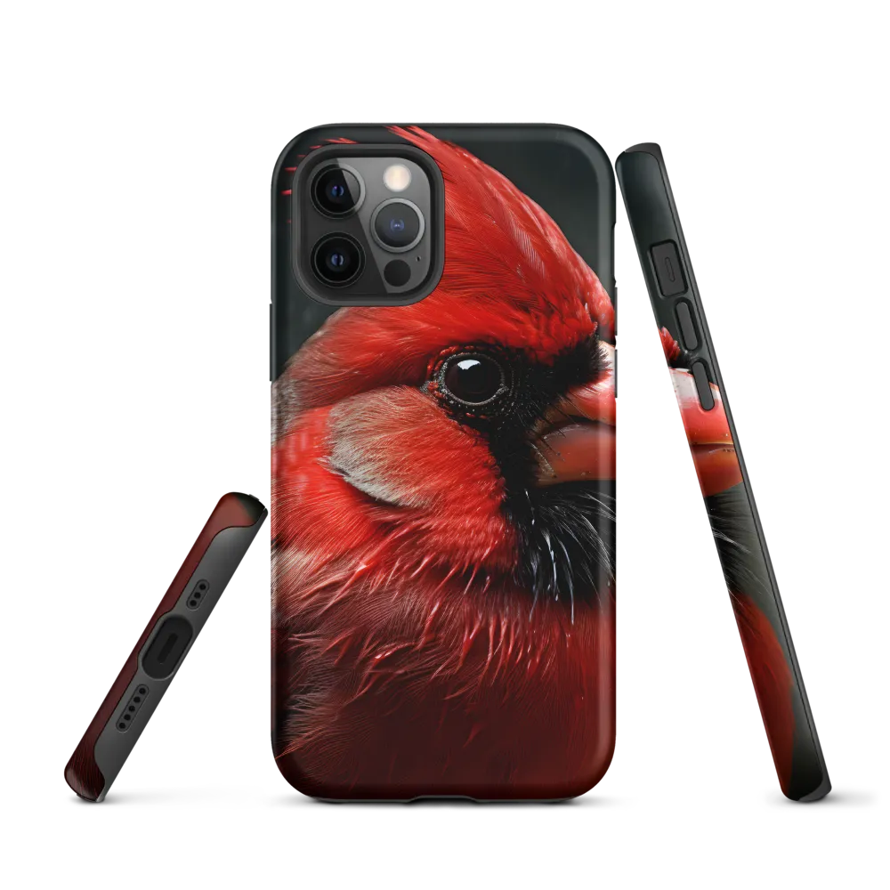 The Bold Cardinal