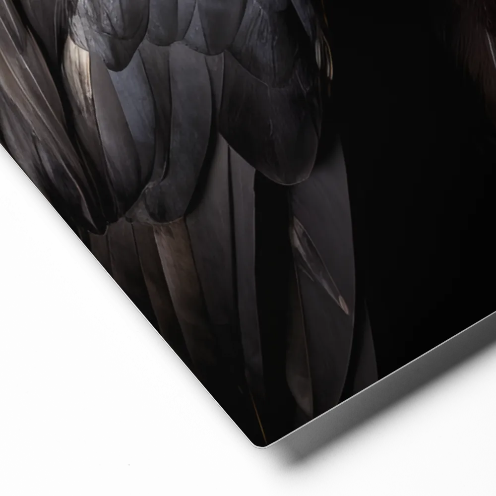 Majestic Vulture Portrait | Metal Print | 11″×14″