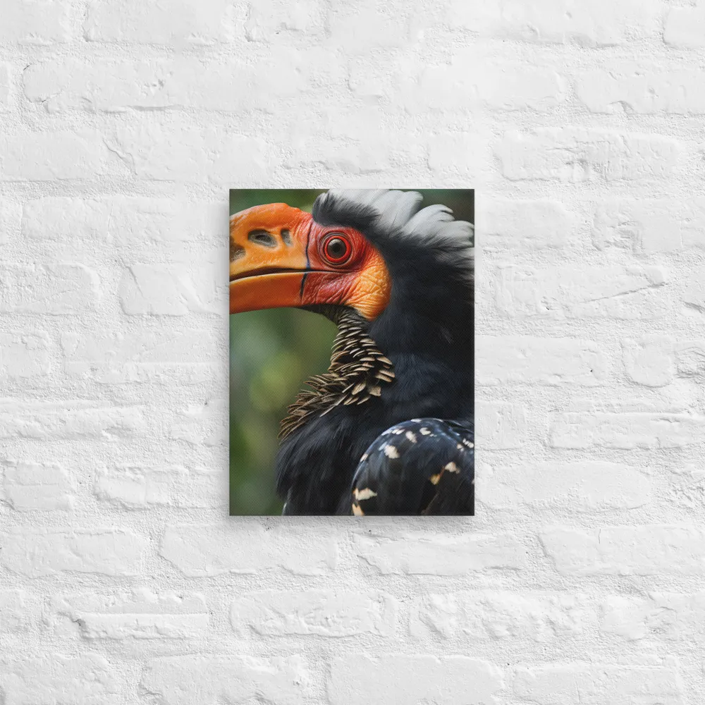 Majesty of the Hornbill