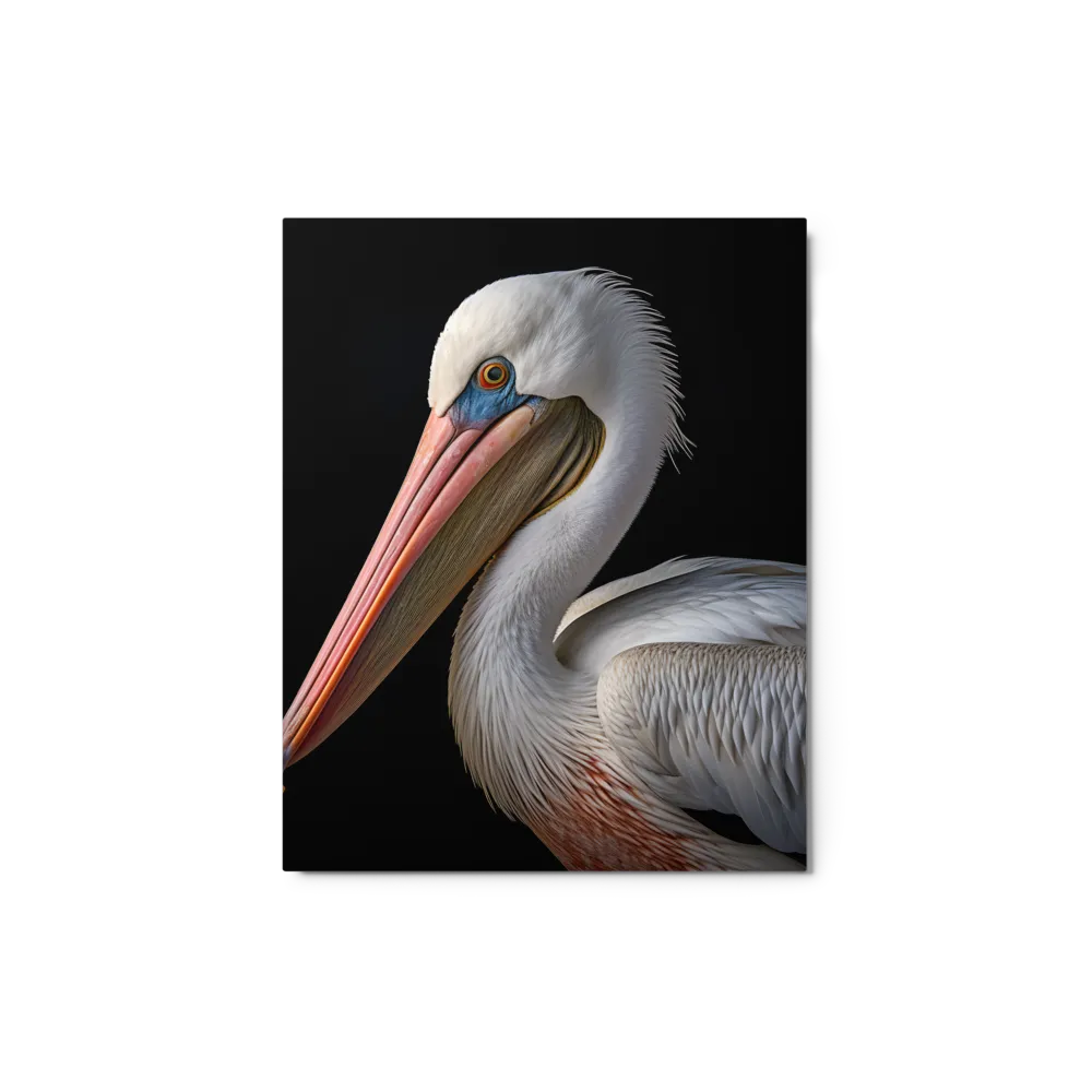 Elegance in White: The Pelican | Metal Print | 8″×10″