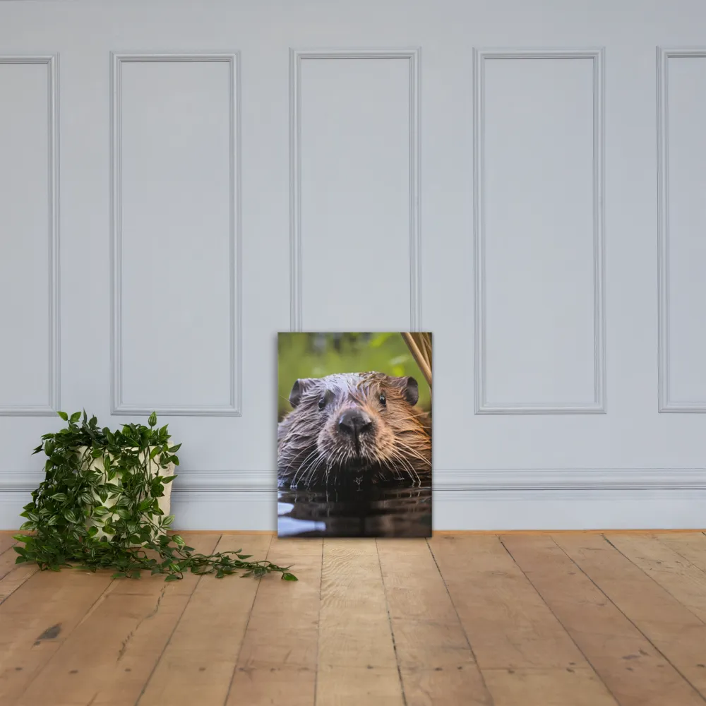 Emergence of the Beaver