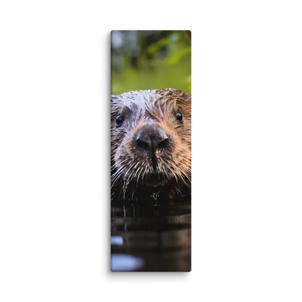 Emergence of the Beaver