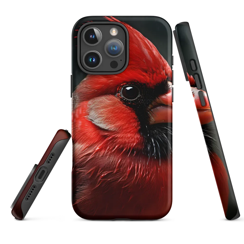 The Bold Cardinal