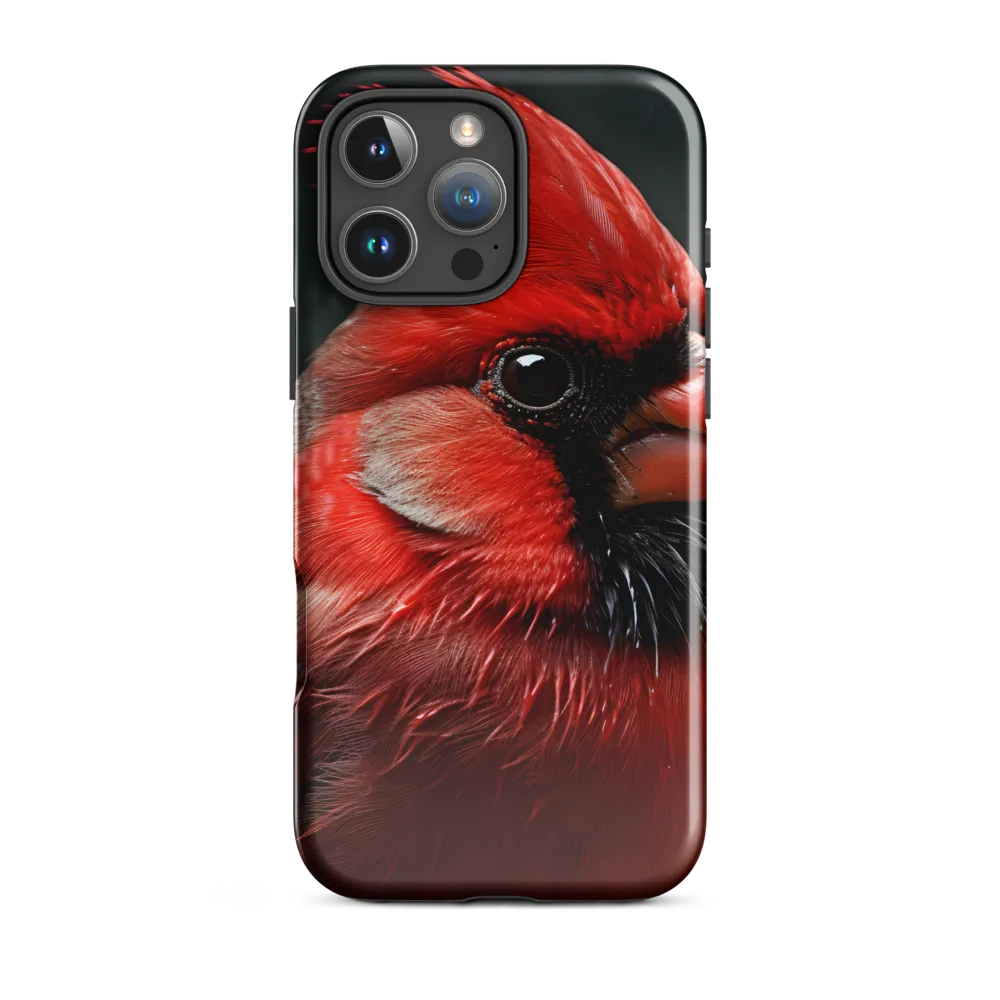 The Bold Cardinal