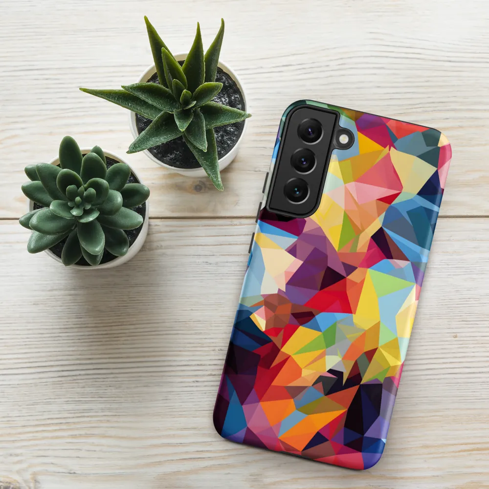 Playful Geometry: The Bear's Face