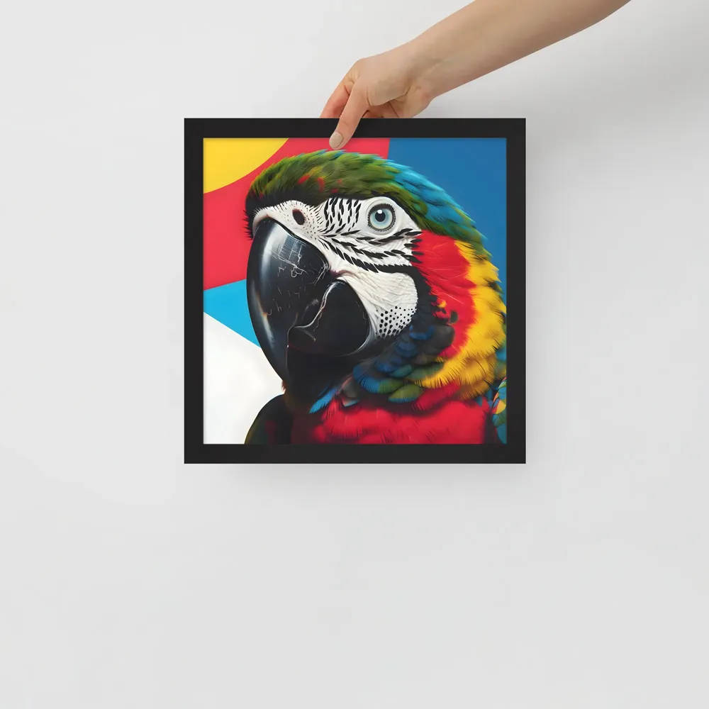 Scarlet Macaw Close-Up 
 Poster with Black Frame | 12″x 12″