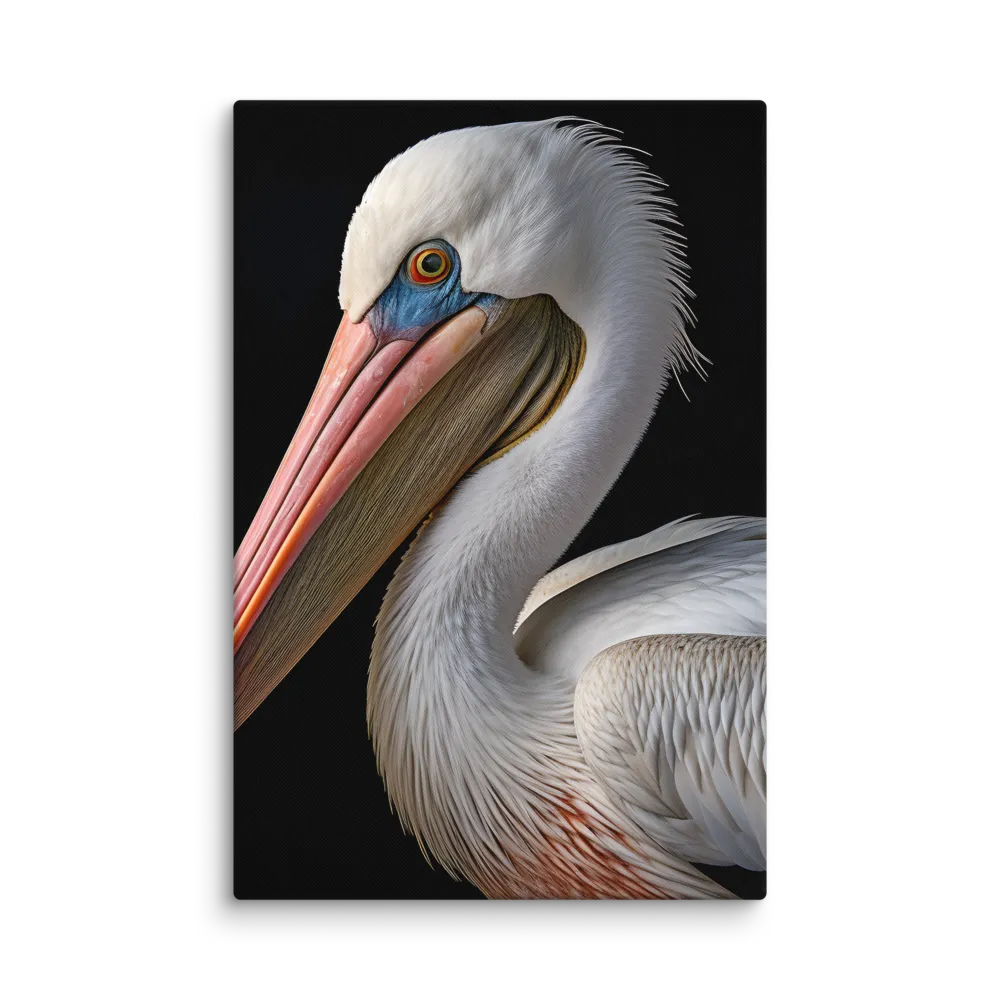 Elegance in White: The Pelican | Canvas | 24″×36″