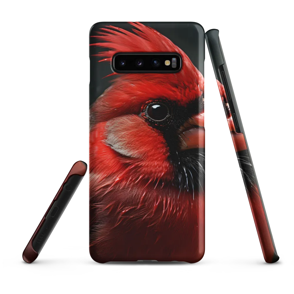 The Bold Cardinal